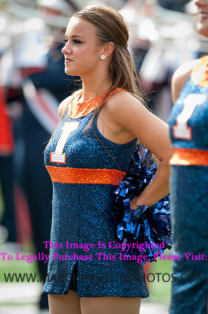 Miami (OH) Redhawks at Illinois Fighting Illini, Saturday, September 28, 2013 - Marching Illini Photos