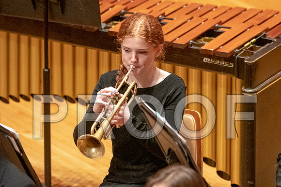 2023 All-Illinois Junior BandJanuary 20-21, 2023