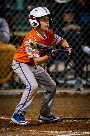 July 22, 2018 Little League Section All-Star TournamentChampaign East vs. Macomb