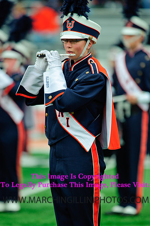 Penn State Nittany Lions at Illinois Fighting Illini, Saturday, November 22, 2014 - Marching Illini Photos