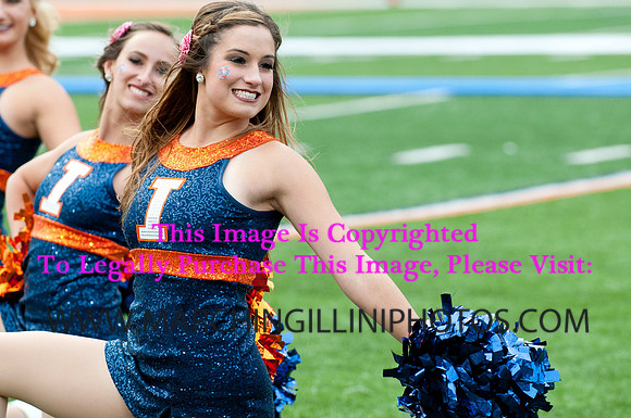 Michigan State Spartans at Illinois Fighting Illini, Saturday, October 26, 2013 - Marching Illini Photos