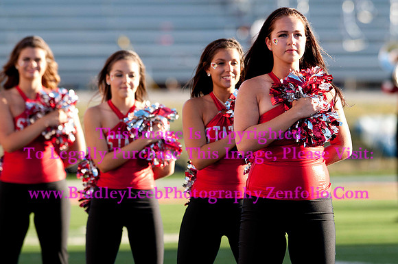 Abilene Christian Wildcats at Illinois State Redbirds, Big Red Marching Machine.  September 21, 2013