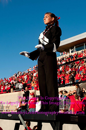 Abilene Christian Wildcats at Illinois State Redbirds, Big Red Marching Machine.  September 21, 2013