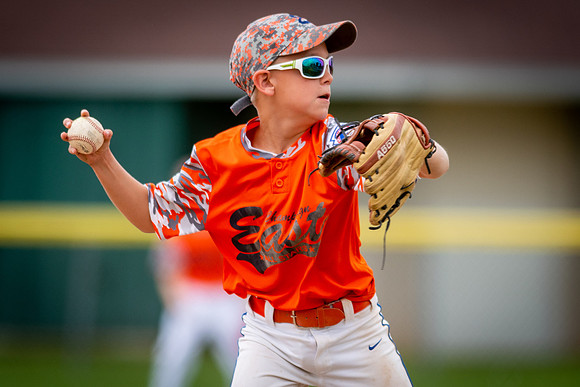 July 28, 2018 Little League State Tournament Champaign East vs. Homewood Heights