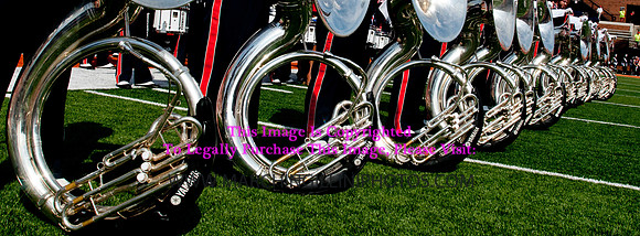 Miami (OH) Redhawks at Illinois Fighting Illini, Saturday, September 28, 2013 - Marching Illini Photos