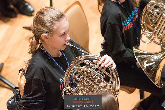 2017 All-Illinois Junior BandJanuary 13-14, 2017University of Illinois campuswww.BradleyLeebPhotography.com