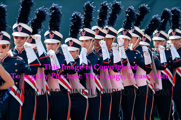 Cincinnati Bearcats at Illinois Fighting Illini, Saturday, September 7, 2013 - Marching Illini Photos