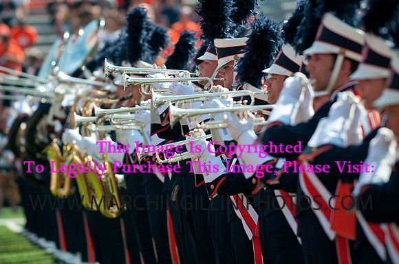Cincinnati Bearcats at Illinois Fighting Illini, Saturday, September 7, 2013 - Marching Illini Photos