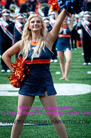 Miami (OH) Redhawks at Illinois Fighting Illini, Saturday, September 28, 2013 - Marching Illini Photos