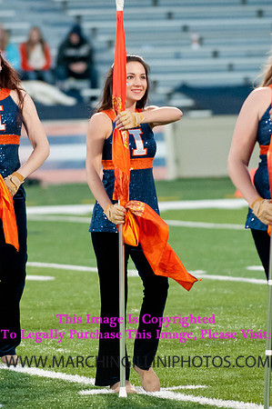 Northwestern Wildcats at Illinois Fighting Illini, Saturday, November 30, 2013 - Marching Illini Photos