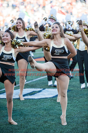 Purdue Boilermakers at Illinois Fighting Illini, Saturday, October 8, 2016 - Marching Illini Photos