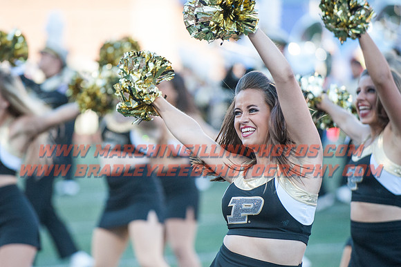 Purdue Boilermakers at Illinois Fighting Illini, Saturday, October 8, 2016 - Marching Illini Photos