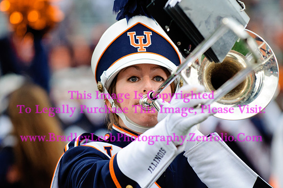 Penn State Nittany Lions at Illinois Fighting Illini, Saturday, November 22, 2014 - Marching Illini Photos