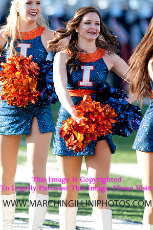 Northwestern Wildcats at Illinois Fighting Illini, Saturday, November 30, 2013 - Marching Illini Photos