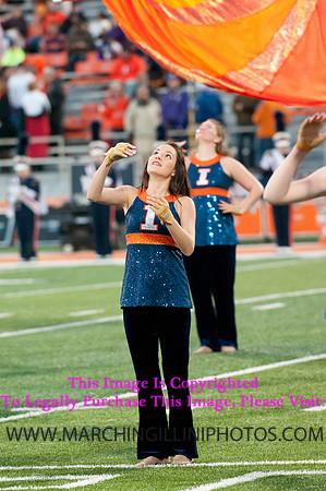 Northwestern Wildcats at Illinois Fighting Illini, Saturday, November 30, 2013 - Marching Illini Photos