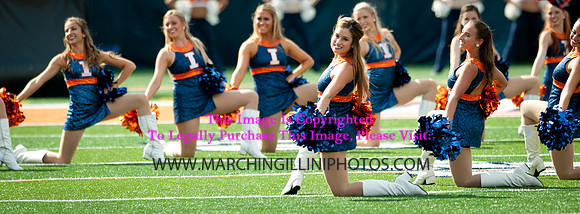 Miami (OH) Redhawks at Illinois Fighting Illini, Saturday, September 28, 2013 - Marching Illini Photos