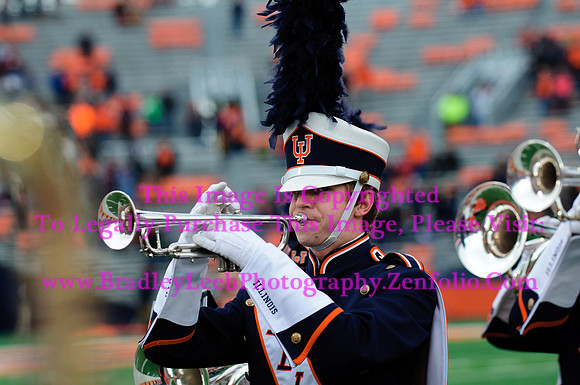 Penn State Nittany Lions at Illinois Fighting Illini, Saturday, November 22, 2014 - Marching Illini Photos