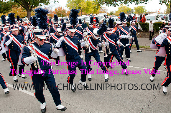 Michigan State Spartans at Illinois Fighting Illini, Saturday, October 26, 2013 - Marching Illini Photos
