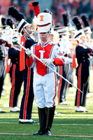 Northwestern Wildcats at Illinois Fighting Illini, Saturday, November 30, 2013 - Marching Illini Photos