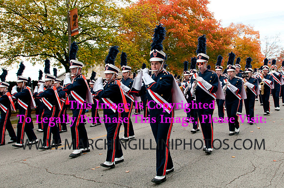 Michigan State Spartans at Illinois Fighting Illini, Saturday, October 26, 2013 - Marching Illini Photos