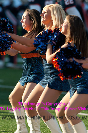 Northwestern Wildcats at Illinois Fighting Illini, Saturday, November 30, 2013 - Marching Illini Photos