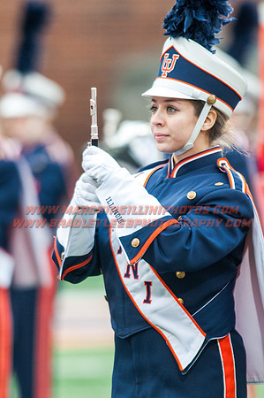 Wisconsin at Illinois, Saturday, Oct. 24, 2015 - Marching Illini Photos