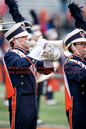 Wisconsin Badgers at Illinois Fighting Illini, Saturday, October 28, 2017 - Marching Illini Photos