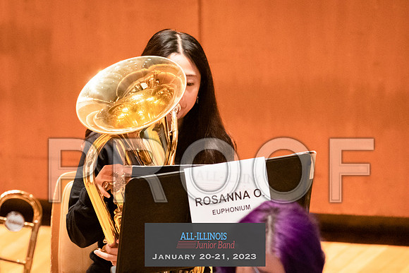 2023 All-Illinois Junior BandJanuary 20-21, 2023