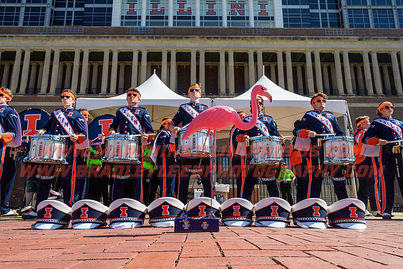 FAW at Illinois Fighting Illini, Saturday, Sept. 23, 2023- Marching Illini Photos