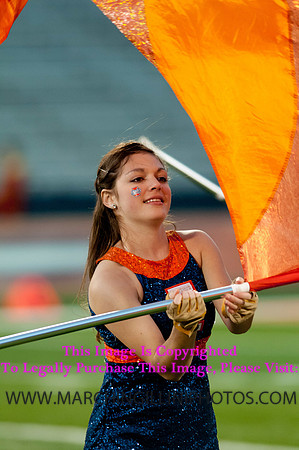 Northwestern Wildcats at Illinois Fighting Illini, Saturday, November 30, 2013 - Marching Illini Photos