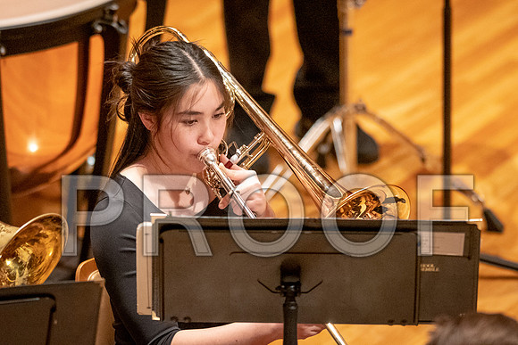 2023 All-Illinois Junior BandJanuary 20-21, 2023