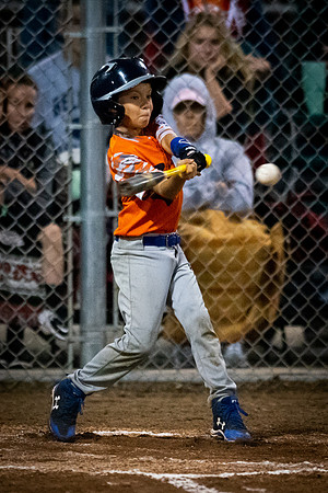 July 22, 2018 Little League Section All-Star TournamentChampaign East vs. Macomb