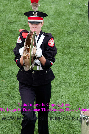 Ohio State Buckeyes at Illinois Fighting Illini, Saturday, November 16, 2013 - Marching Illini Photos