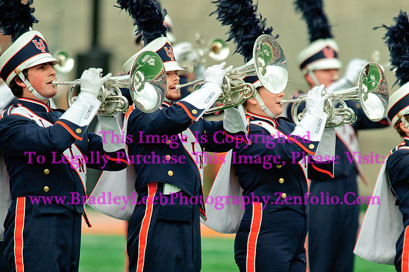 Penn State Nittany Lions at Illinois Fighting Illini, Saturday, November 22, 2014 - Marching Illini Photos
