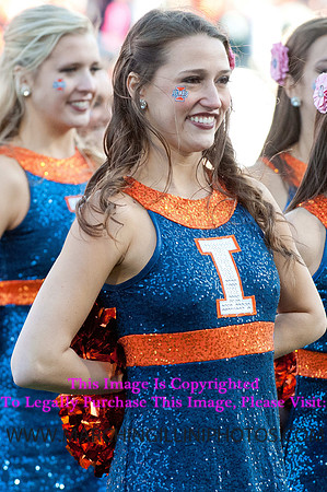Michigan State Spartans at Illinois Fighting Illini, Saturday, October 26, 2013 - Marching Illini Photos