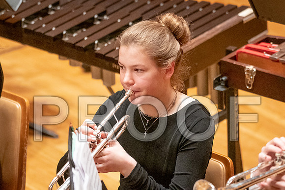 2023 All-Illinois Junior BandJanuary 20-21, 2023
