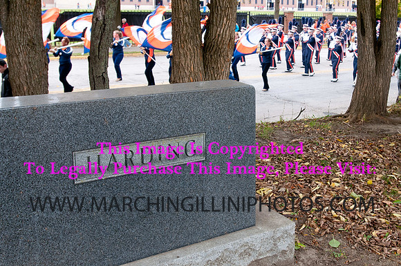 Michigan State Spartans at Illinois Fighting Illini, Saturday, October 26, 2013 - Marching Illini Photos