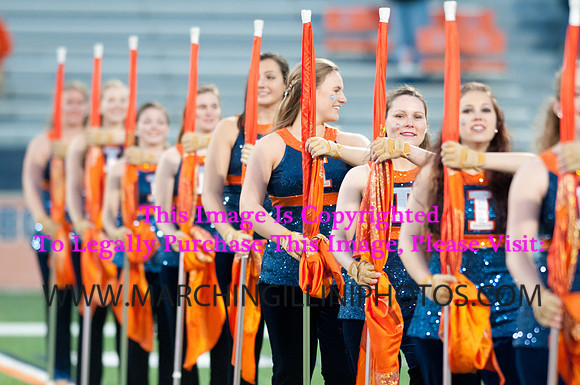 Northwestern Wildcats at Illinois Fighting Illini, Saturday, November 30, 2013 - Marching Illini Photos