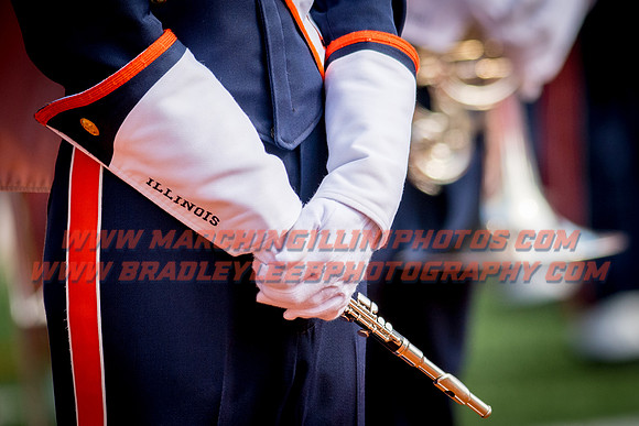 Rutgers Scarlett Knights at Illinois Fighting Illini, Saturday, October 14, 2017 - Marching Illini Photos
