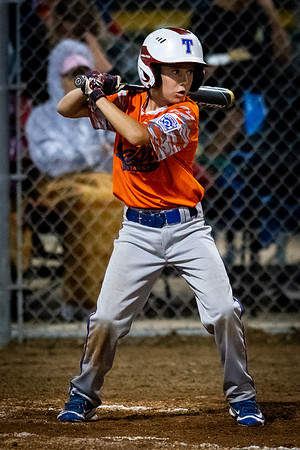 July 22, 2018 Little League Section All-Star TournamentChampaign East vs. Macomb