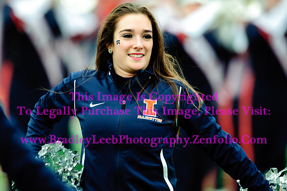 Penn State Nittany Lions at Illinois Fighting Illini, Saturday, November 22, 2014 - Marching Illini Photos