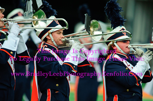 Penn State Nittany Lions at Illinois Fighting Illini, Saturday, November 22, 2014 - Marching Illini Photos