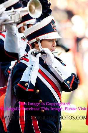 Northwestern Wildcats at Illinois Fighting Illini, Saturday, November 30, 2013 - Marching Illini Photos