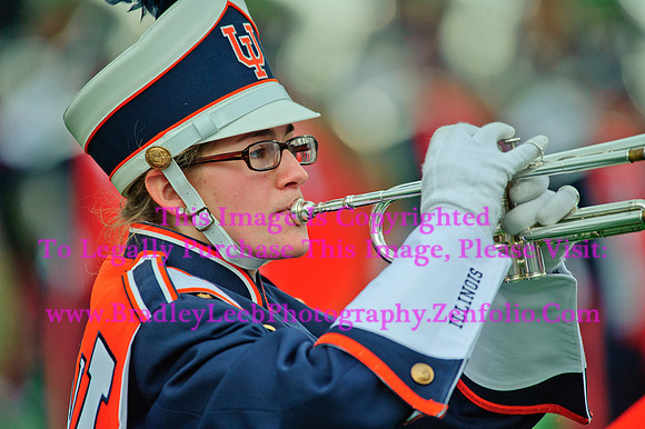Penn State Nittany Lions at Illinois Fighting Illini, Saturday, November 22, 2014 - Marching Illini Photos