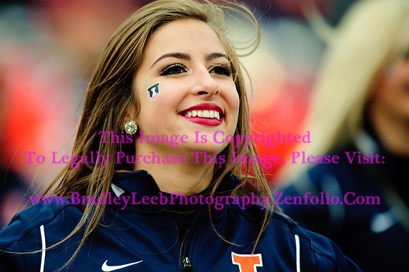Penn State Nittany Lions at Illinois Fighting Illini, Saturday, November 22, 2014 - Marching Illini Photos