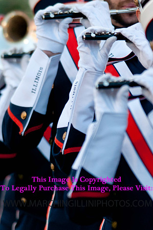 Northwestern Wildcats at Illinois Fighting Illini, Saturday, November 30, 2013 - Marching Illini Photos