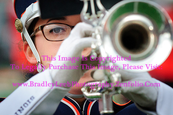 Penn State Nittany Lions at Illinois Fighting Illini, Saturday, November 22, 2014 - Marching Illini Photos