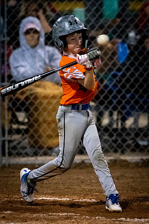 July 22, 2018 Little League Section All-Star TournamentChampaign East vs. Macomb