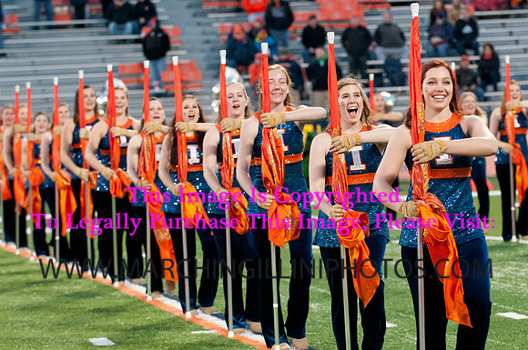 Northwestern Wildcats at Illinois Fighting Illini, Saturday, November 30, 2013 - Marching Illini Photos