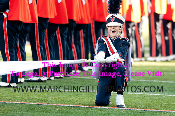 Northwestern Wildcats at Illinois Fighting Illini, Saturday, November 30, 2013 - Marching Illini Photos
